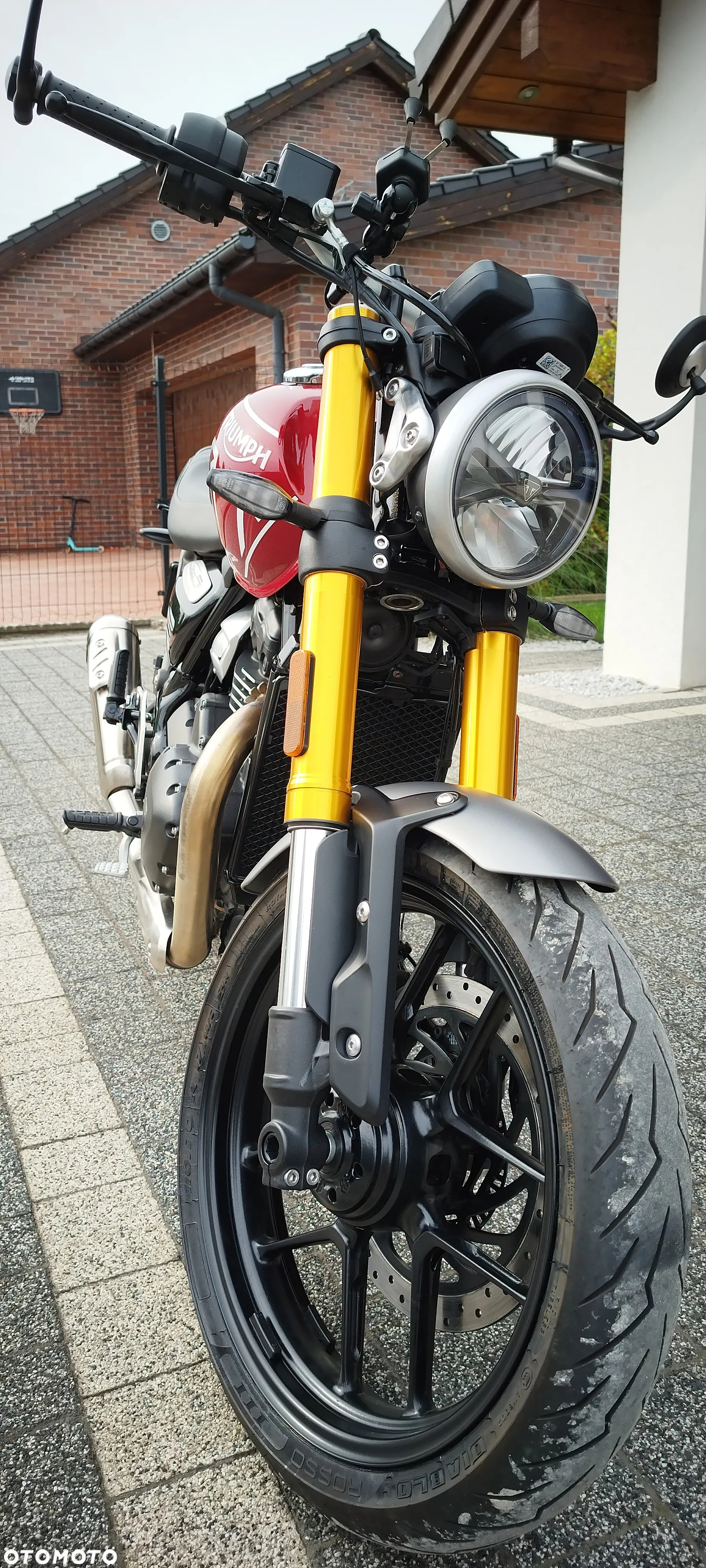 Triumph Inny - 10