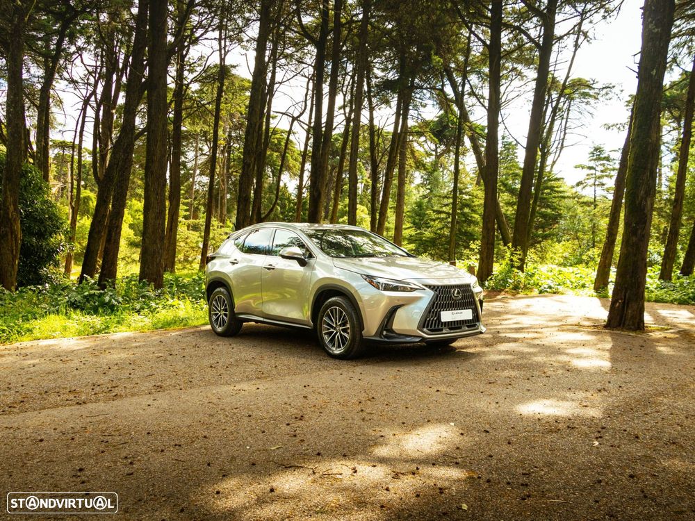 Lexus NX 350h Executive+ - 17