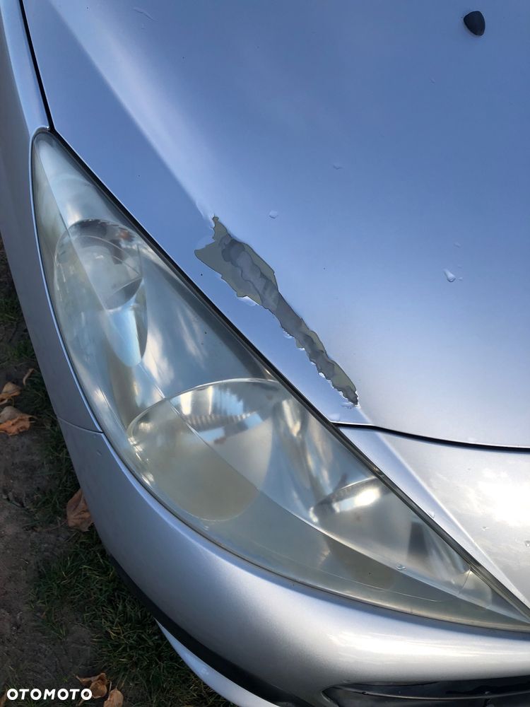 Peugeot 207 - 16