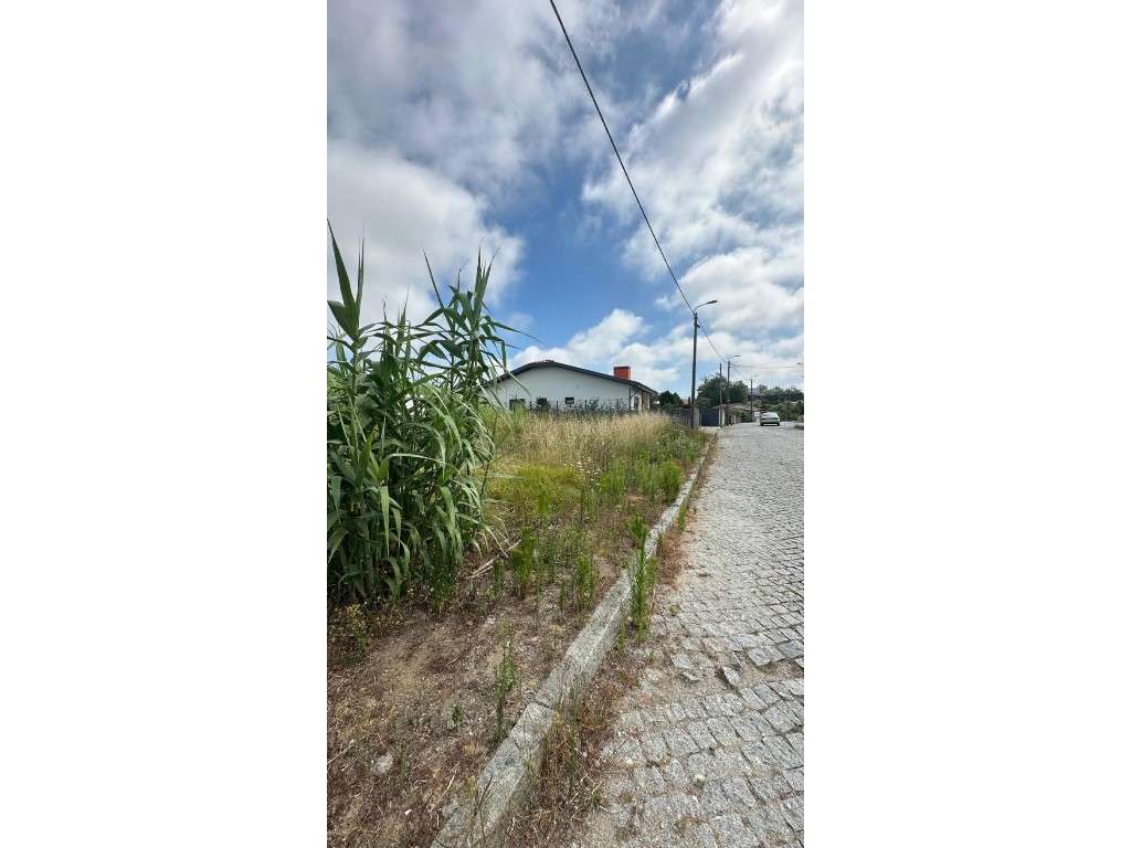 Terreno moradia térrea - Grande imagem: 4/7