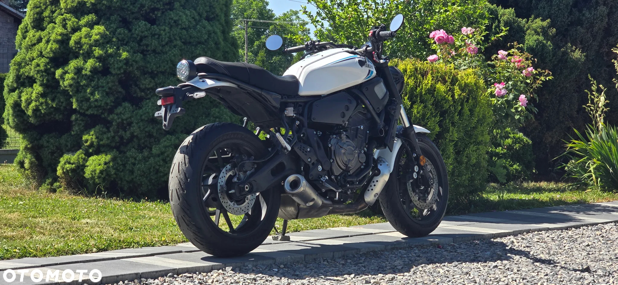 Yamaha XSR - 4