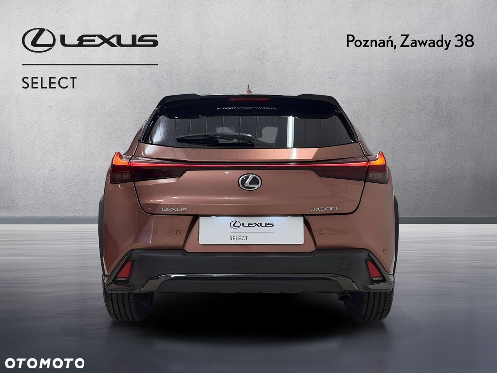 Lexus UX 300h F Sport Design - 7