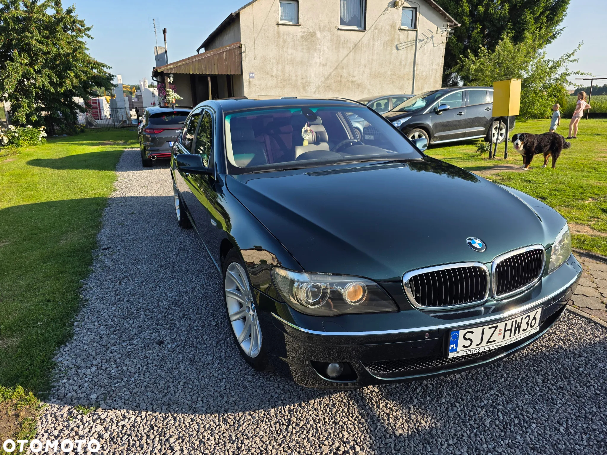 BMW Seria 7 745d - 31