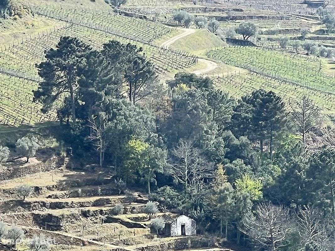 Terreno  para venda - Grande imagem: 3/4