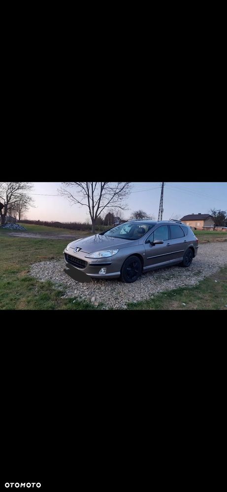 Peugeot 407 2.0 HDI Platinum - 9