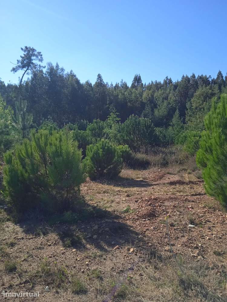 Terreno urbano para vender em Mortágua - Grande imagem: 2/2