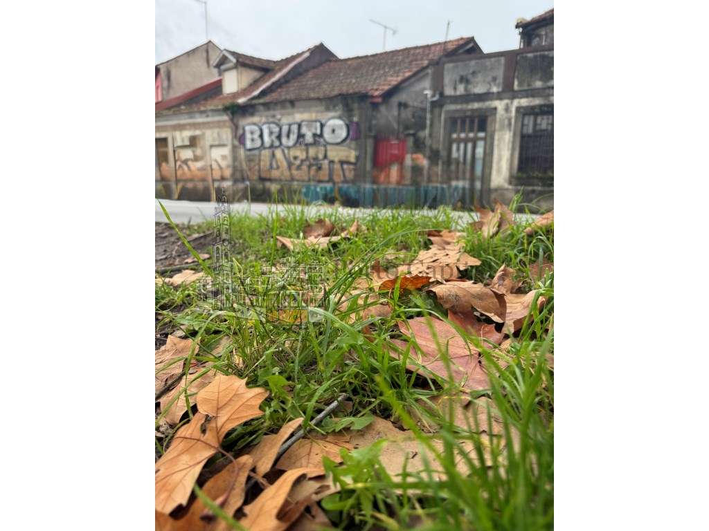 TERRENO PARA INVESTIMENTO EM PARANHOS- CIRCUNVALAÇÃO - Grande imagem: 5/23