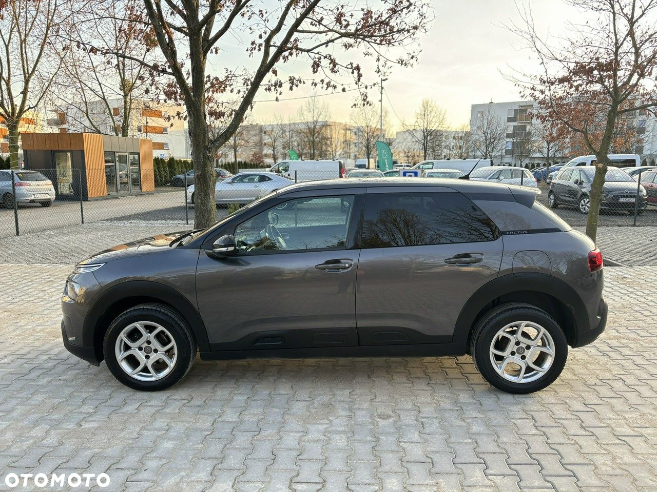 Citroën C4 Cactus - 6