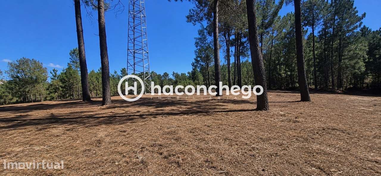 Terreno  Venda em Ucha,Barcelos - Grande imagem: 2/9