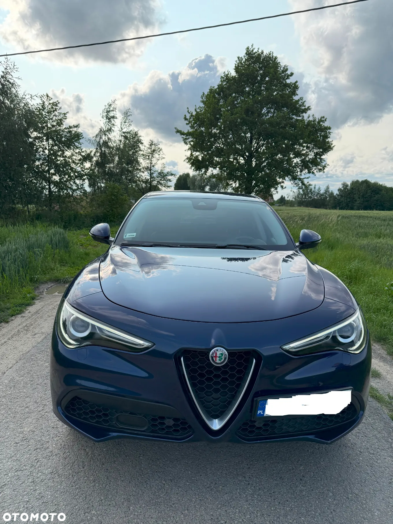 Alfa Romeo Stelvio 2.0 Turbo First Edition Q4 - 4