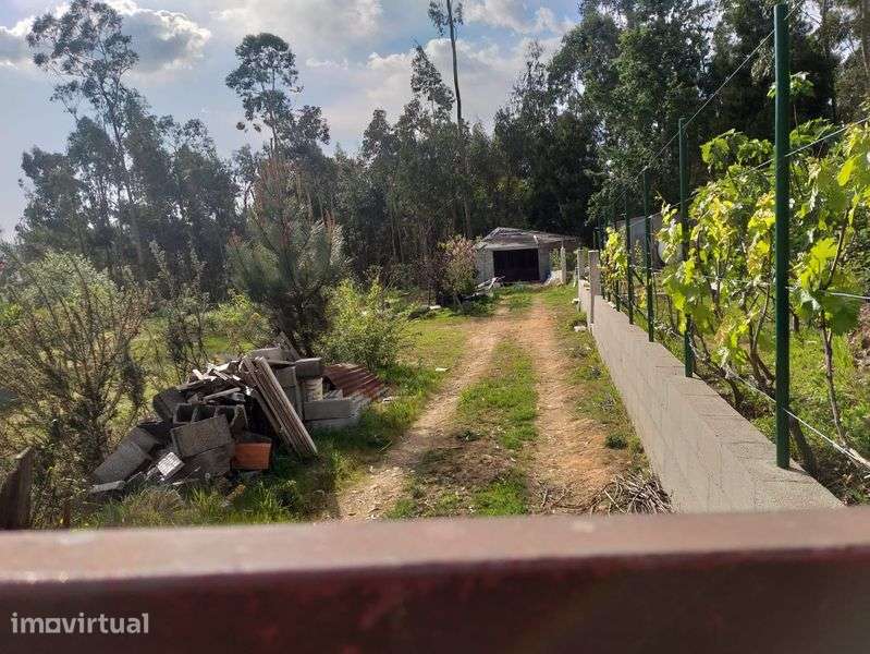 Terreno c/1200m2 Nogueira do cravo - Grande imagem: 2/4