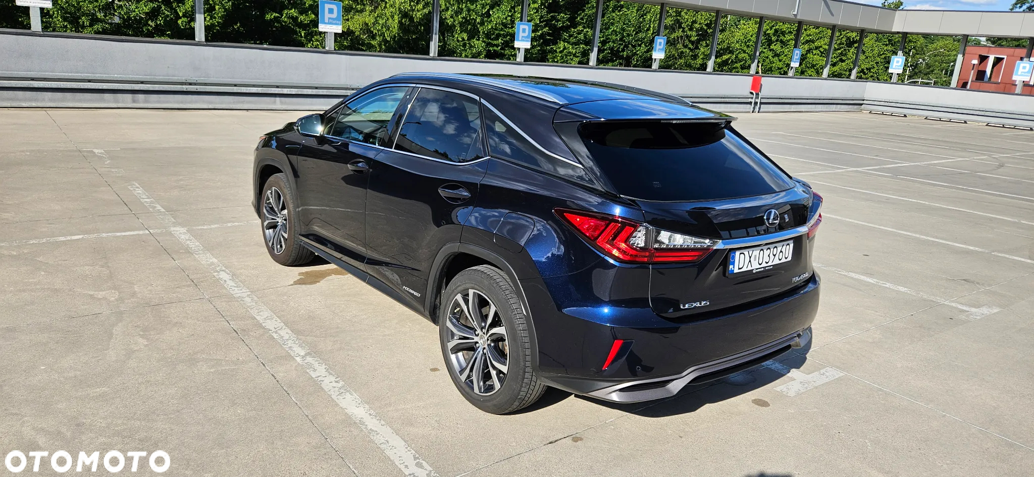 Lexus RX 450h Elegance - 30