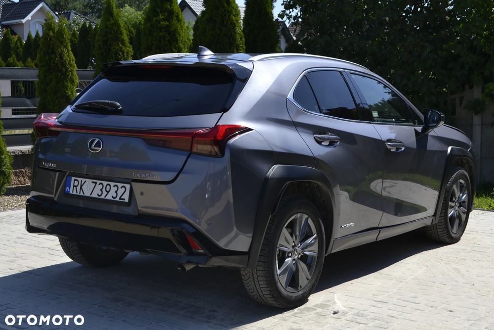 Lexus UX 250h Prestige 2WD - 15