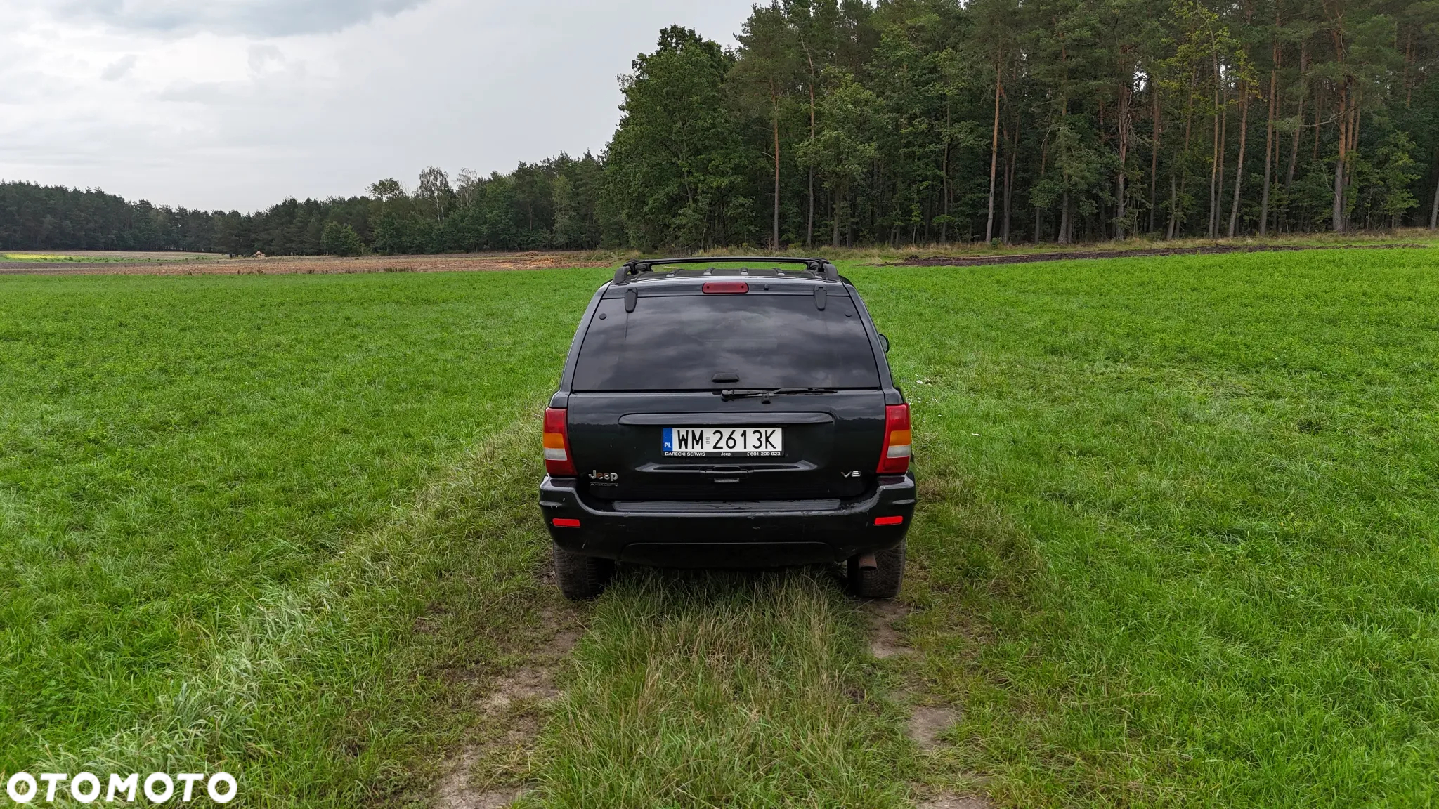 Jeep Grand Cherokee 4.7 Limited - 6