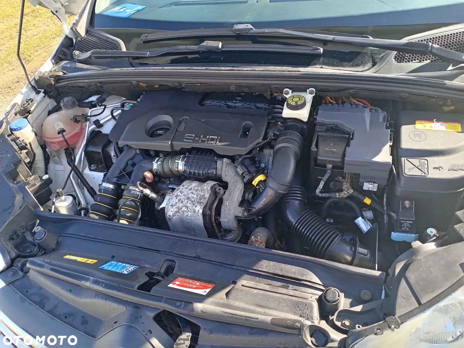 Citroën C4 e-HDi 110 EGS6 Stop/Start System Selection - 8