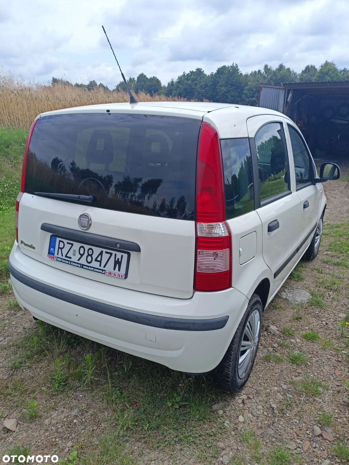 Fiat Panda - 8