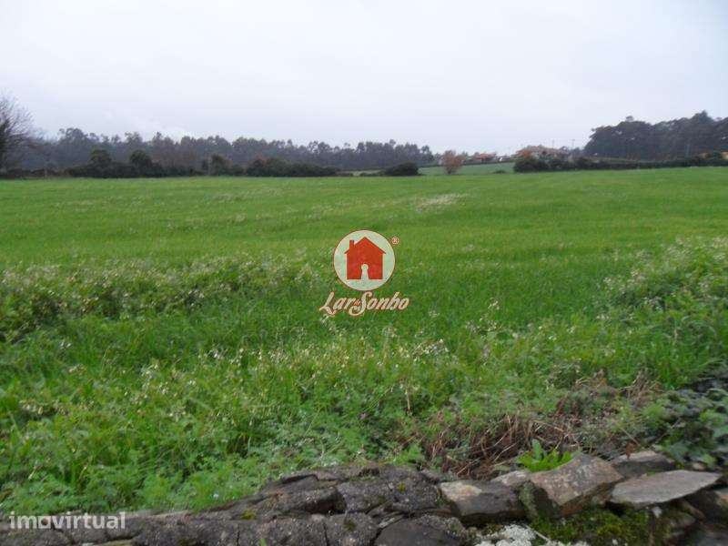 Terreno de construção com 8.860m2 em Balazar, Póvoa de Varzim - Grande imagem: 3/6