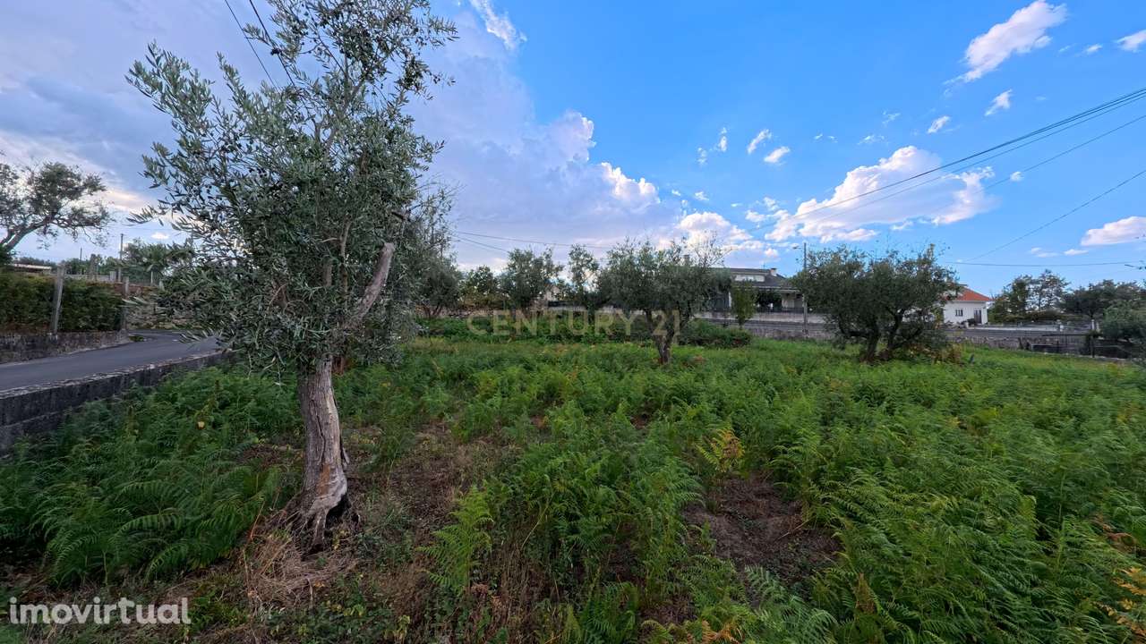 Terreno em Mangualde da Serra, Gouveia - Próximo da Serra da Estrela - Grande imagem: 5/6