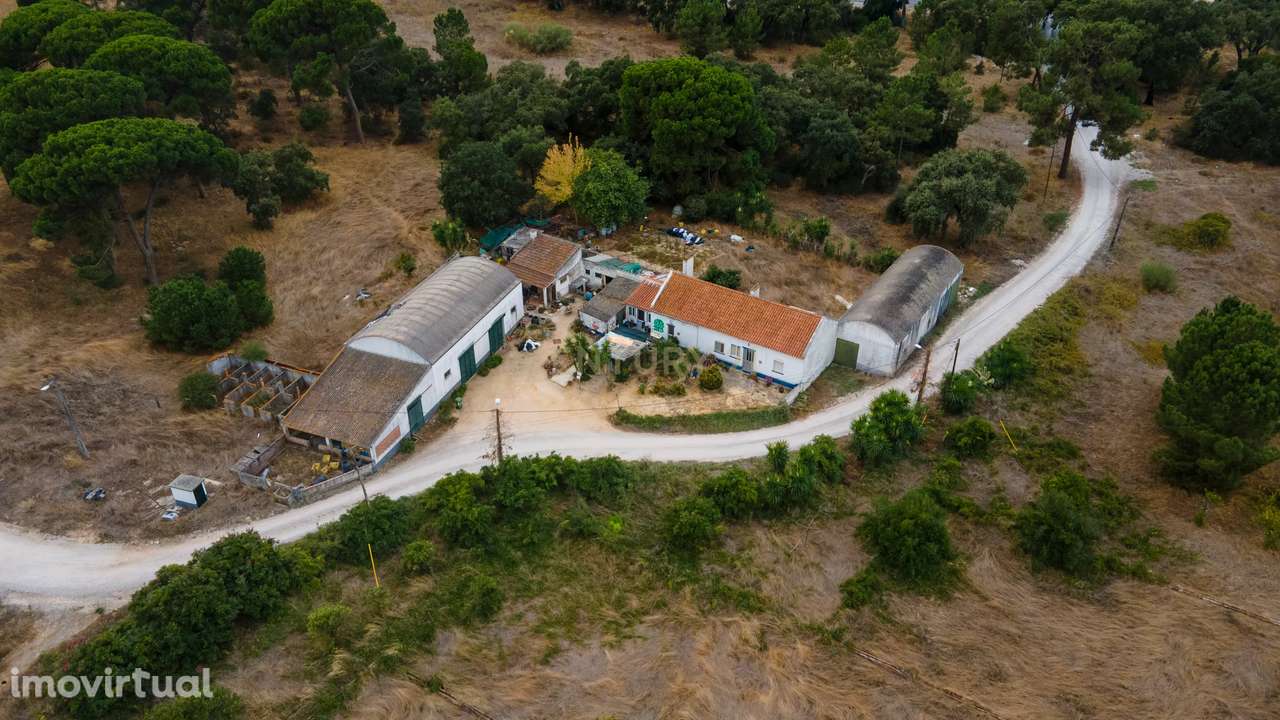 Quinta dos Batudes Palmela - Grande imagem: 3/20