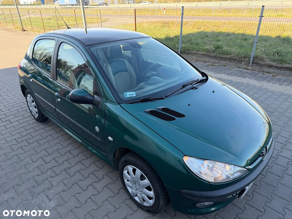 Peugeot 206 75 Grand Filou Cool - 10