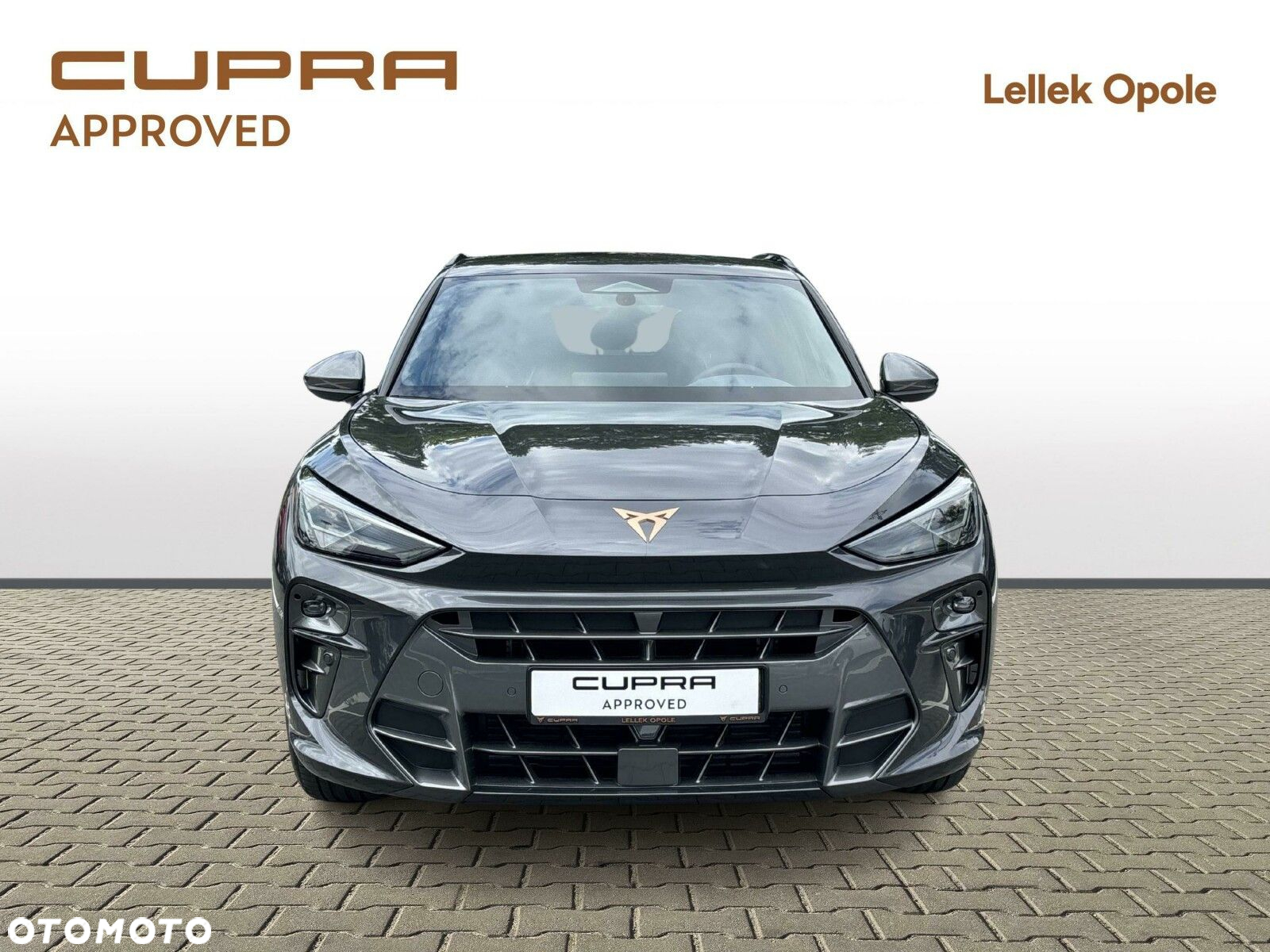 Cupra Terramar - 8