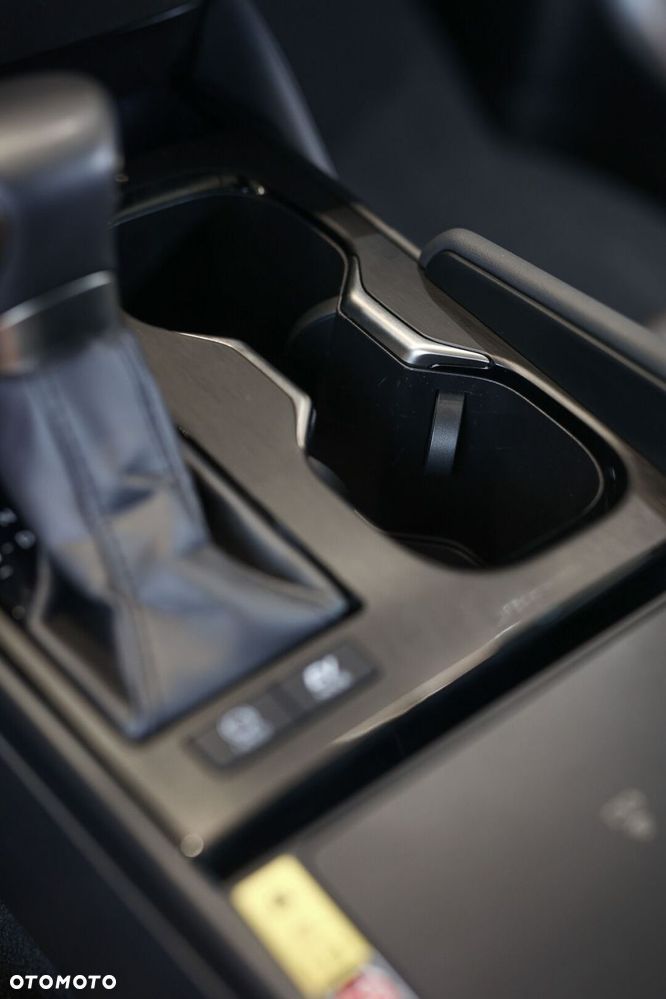 Lexus ES 300h Business Edition - 37