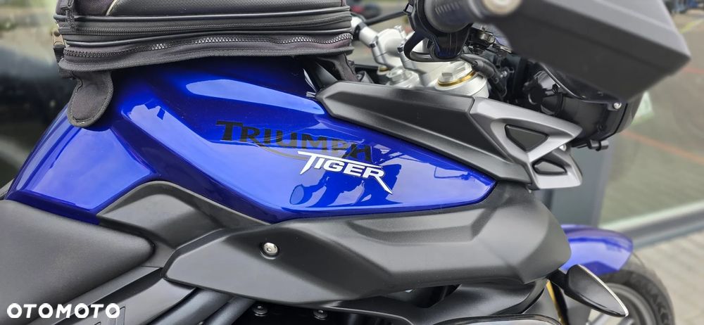Triumph Tiger - 12