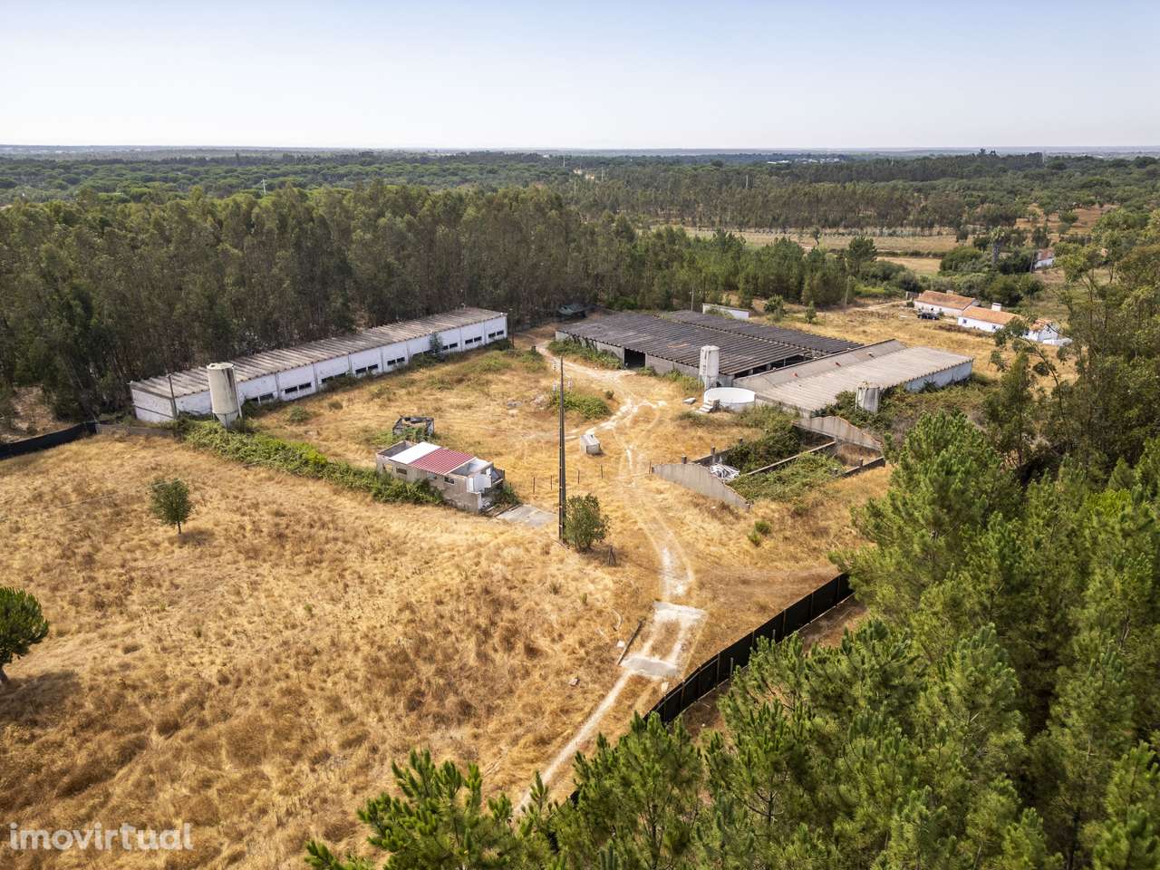 Quinta  5hct Rústica / Urbana com Potencial Único -  Branca - Coruche - Grande imagem: 4/24