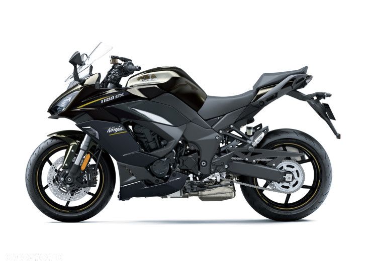 Kawasaki Ninja 1000 SX - 2