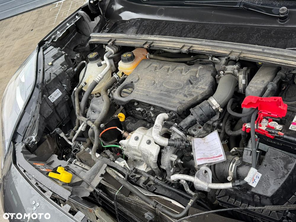 Ford Puma 1.5 EcoBlue TITANIUM DESIGN - 12