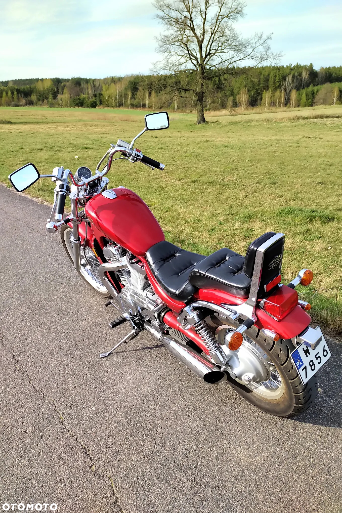 Suzuki VS - 8