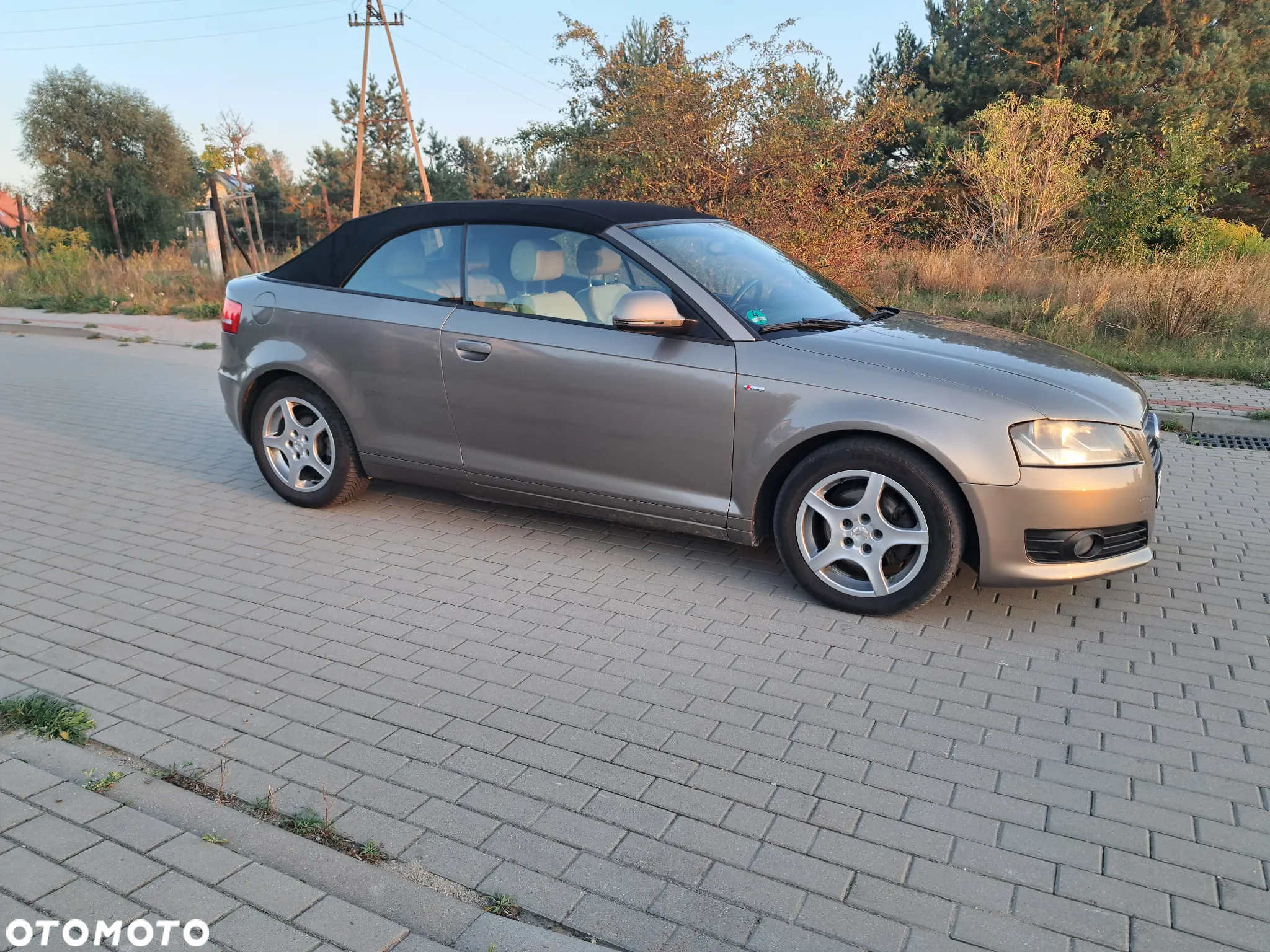 Audi A3 - 19