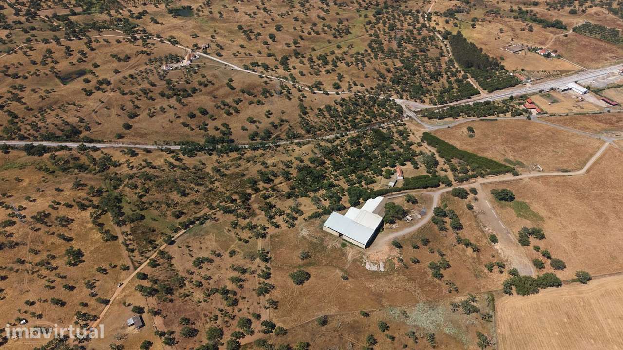 Monte Alentejano com propriedade de 13 HA - Grande imagem: 5/27