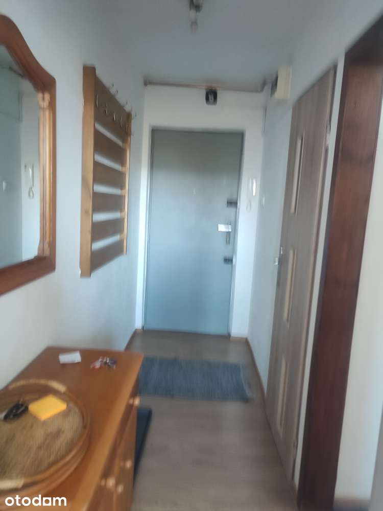 Do wynajęcia 2 pokoje w Centrum Szczecina – naprzeciwko Galaxy