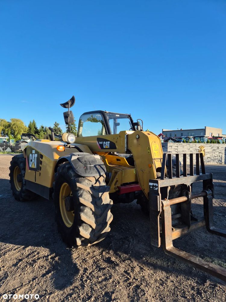 Caterpillar - 1