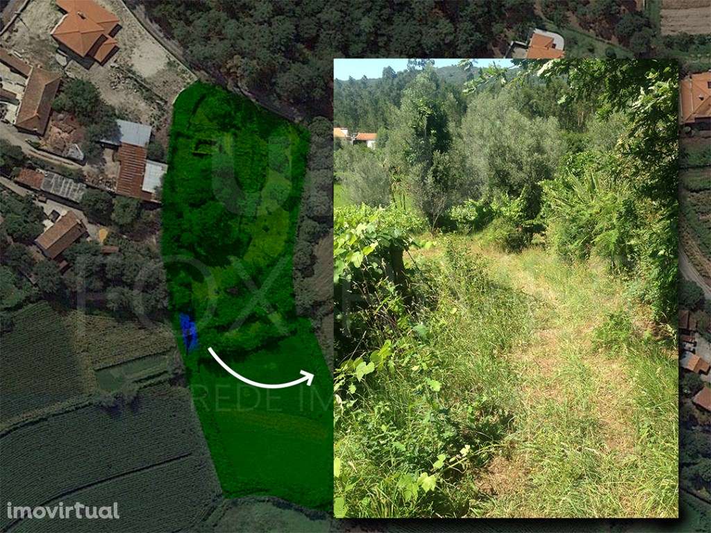 Terreno com 3 artigos sendo um deles urbano com uma ruína em Vitori... - Grande imagem: 5/8