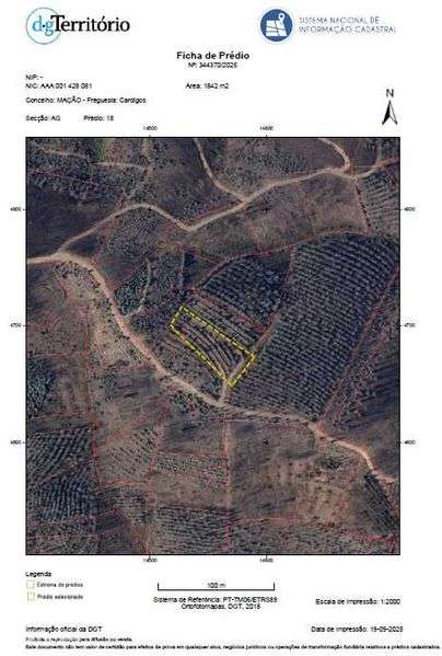 Terrenos em Mação/Cardigos  ( 3 propriedades) 1€ M2 c/Eucalipto 7 anos - Grande imagem: 3/4