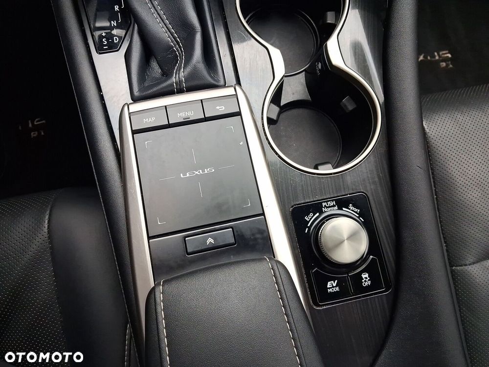 Lexus RX 450h F-Impression - 15