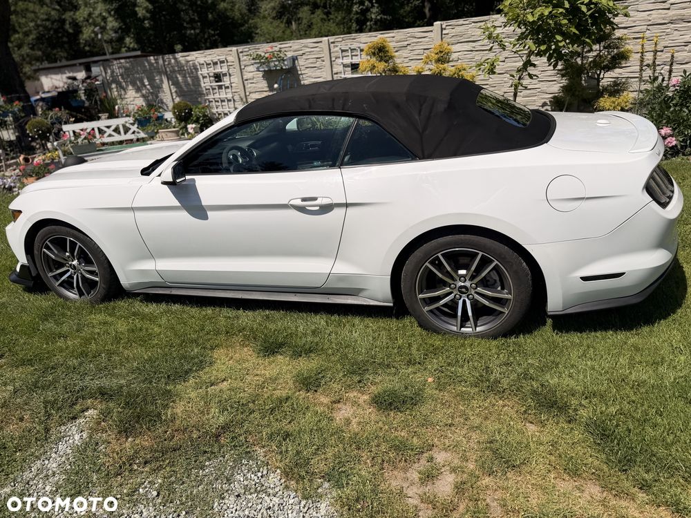 Ford Mustang - 4