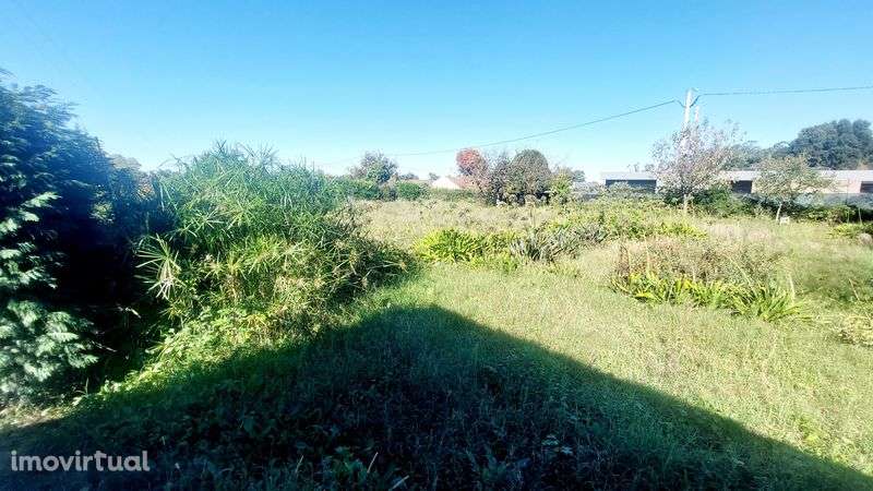 Moradia arrendar Maia - Grande imagem: 3/10