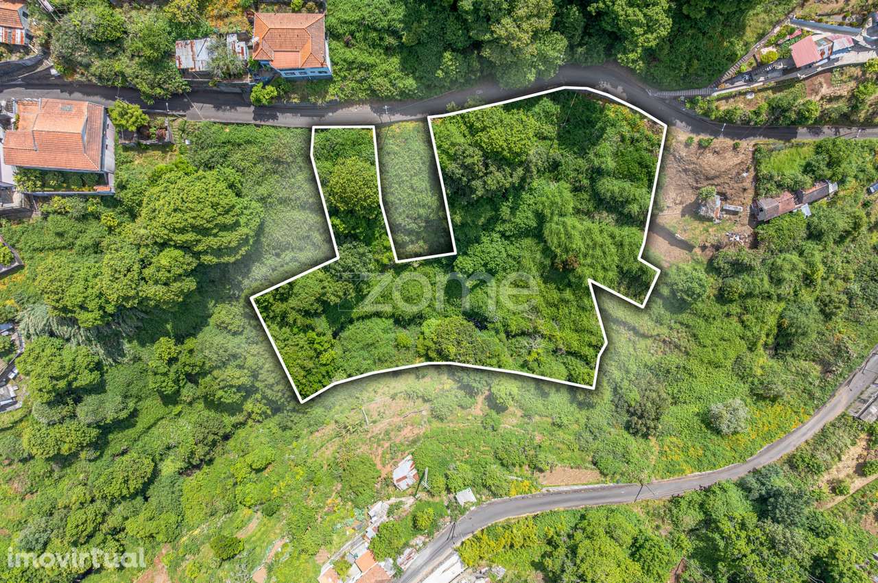 Terreno Rústico – Camacha, Ilha da Madeira - Grande imagem: 3/15