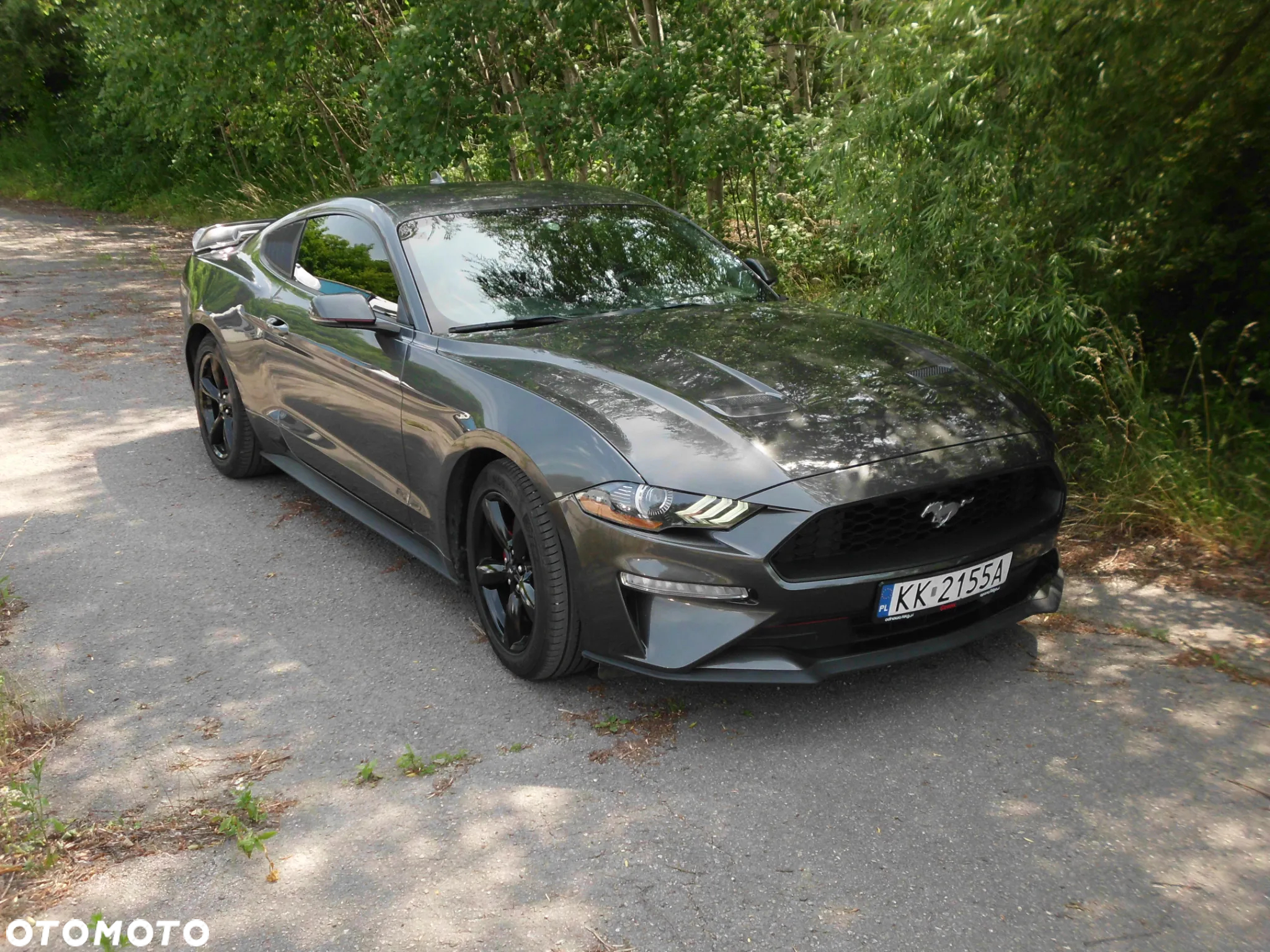 Ford Mustang 2.3 Eco Boost - 10