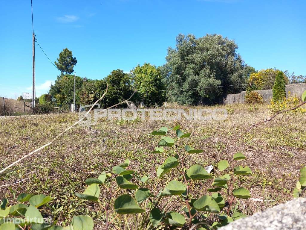 Terreno Urbano – Oliveira do Bairro - Grande imagem: 4/5