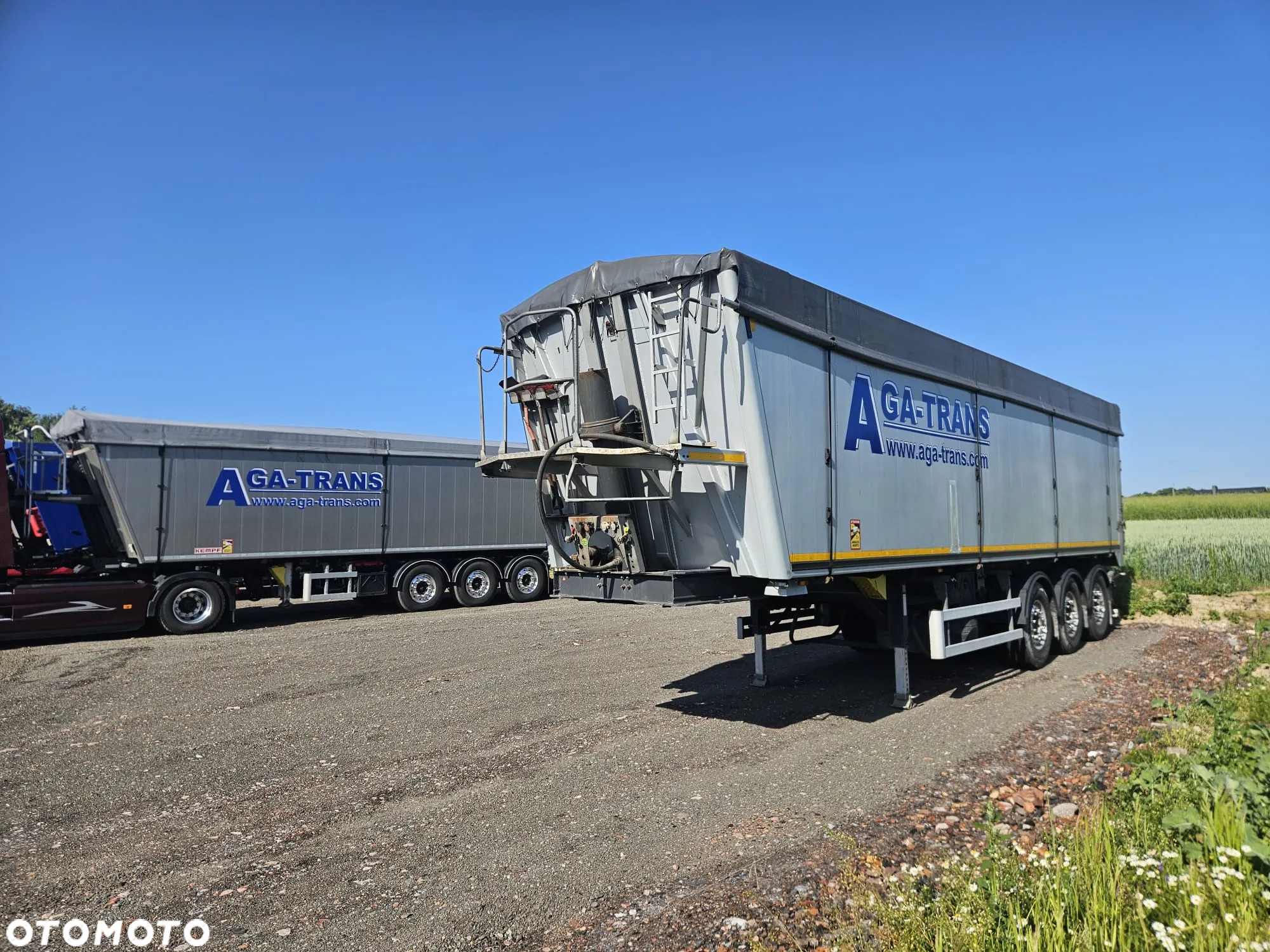 Bodex - 2
