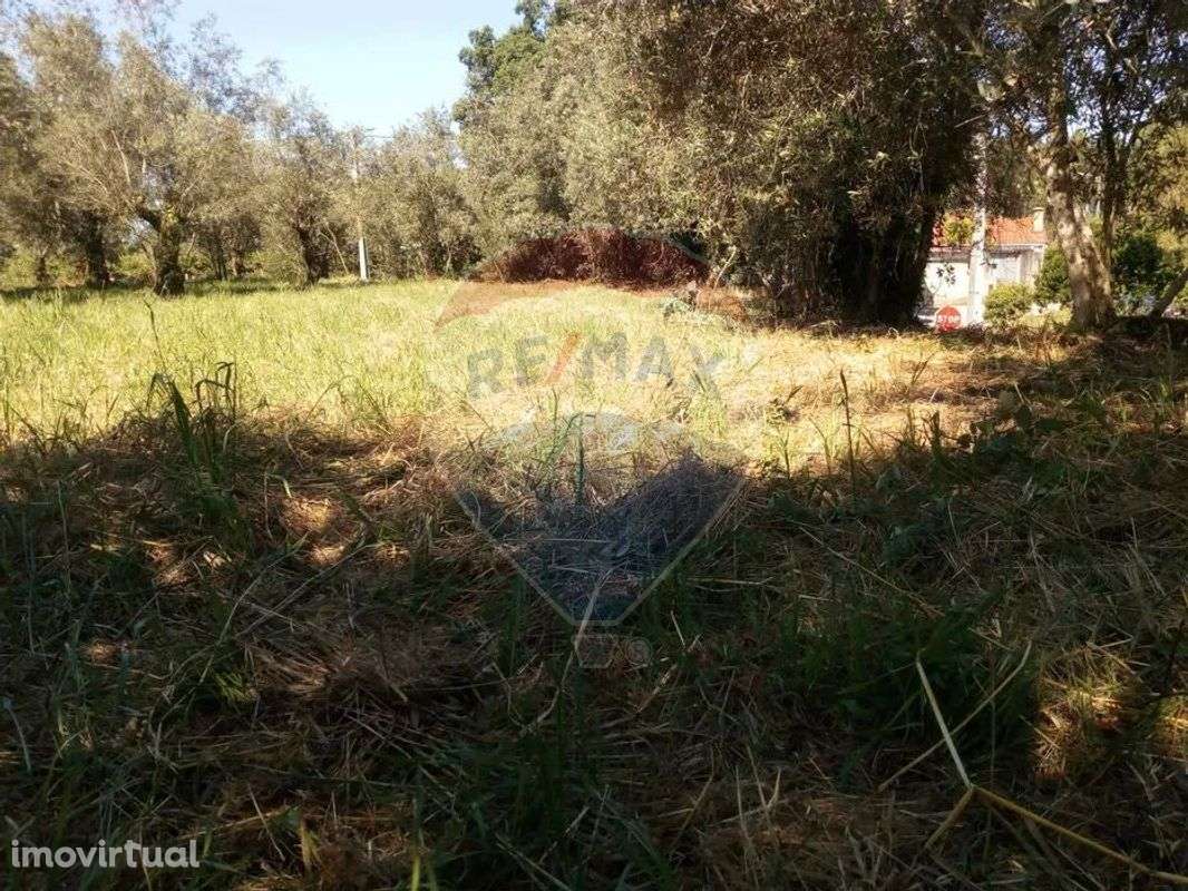 Terreno  para venda - Grande imagem: 3/7