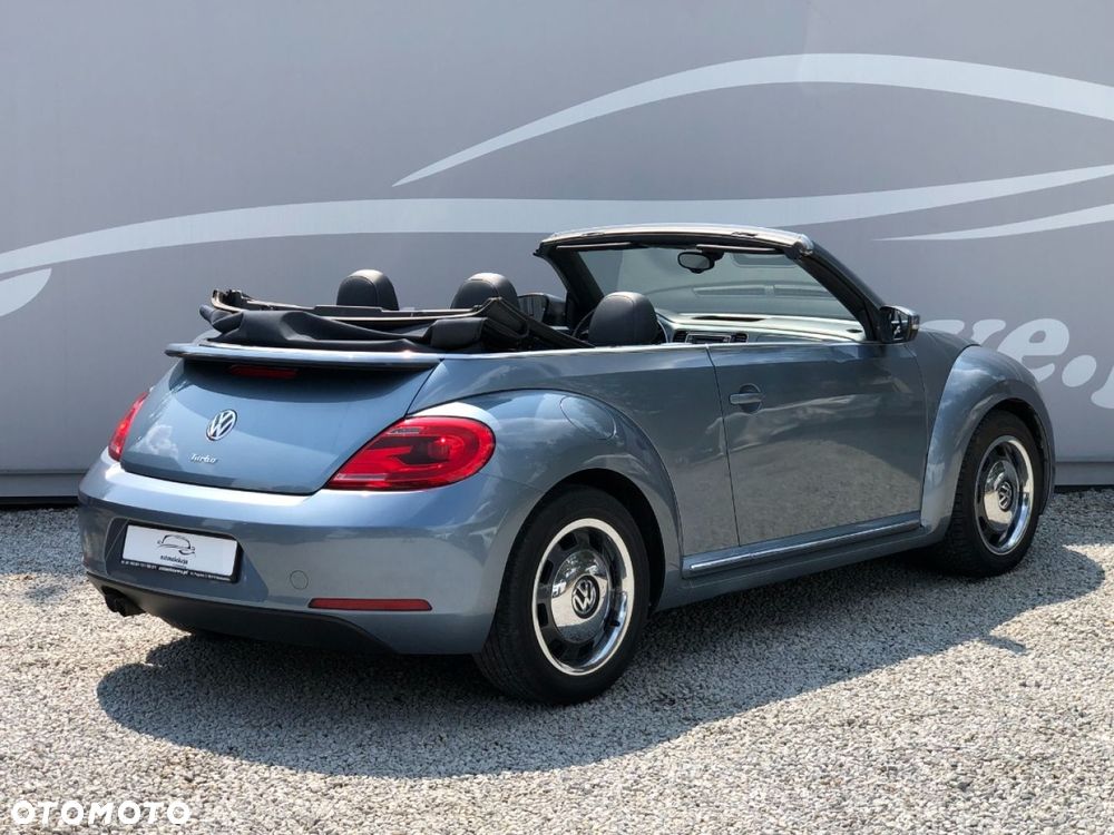 Volkswagen Beetle - 19