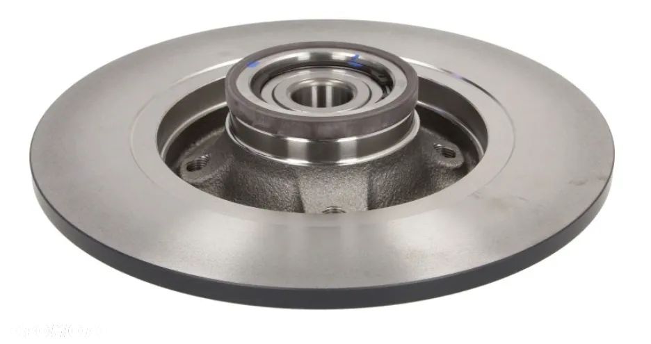 TARCZE HAMULCOWE TYŁ CITROEN C4 coupe (LA_) ,C4 I (LC_), C4 I sedan PEUGEOT 207 (WA_, WC_) ,307 (3A/C) ,307 Break (3E) ,307 CC (3B), 307 SW (3H), 307 SW Furgon/kombi (3E_, 3H_) - 2