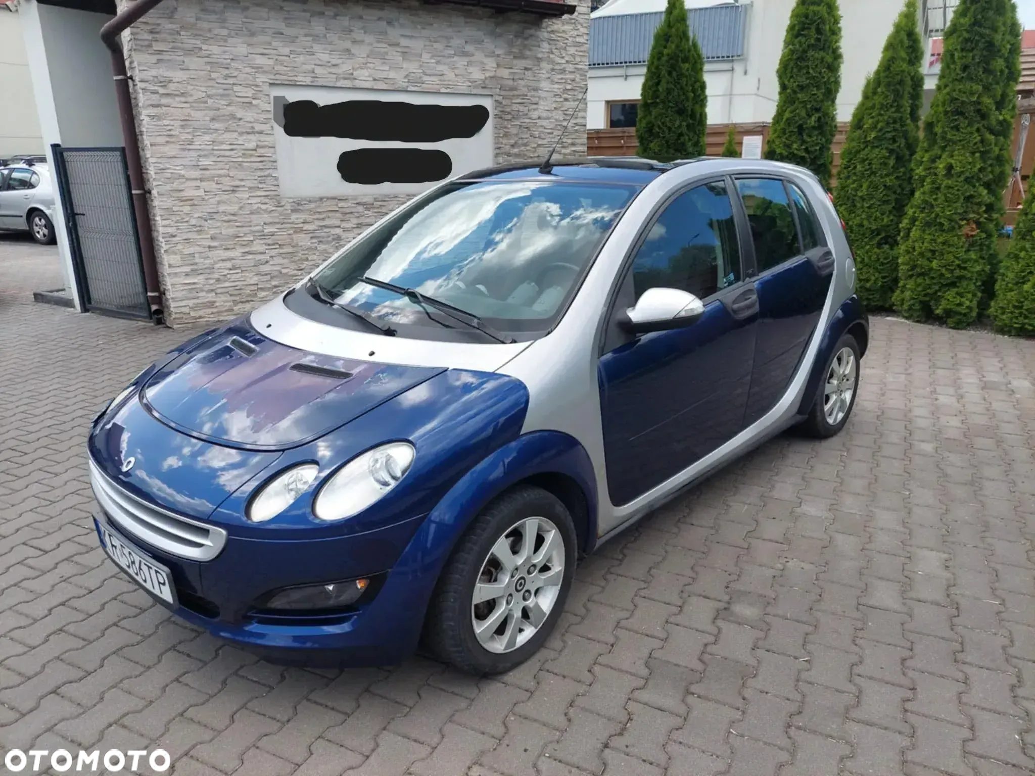 Smart Forfour - 22