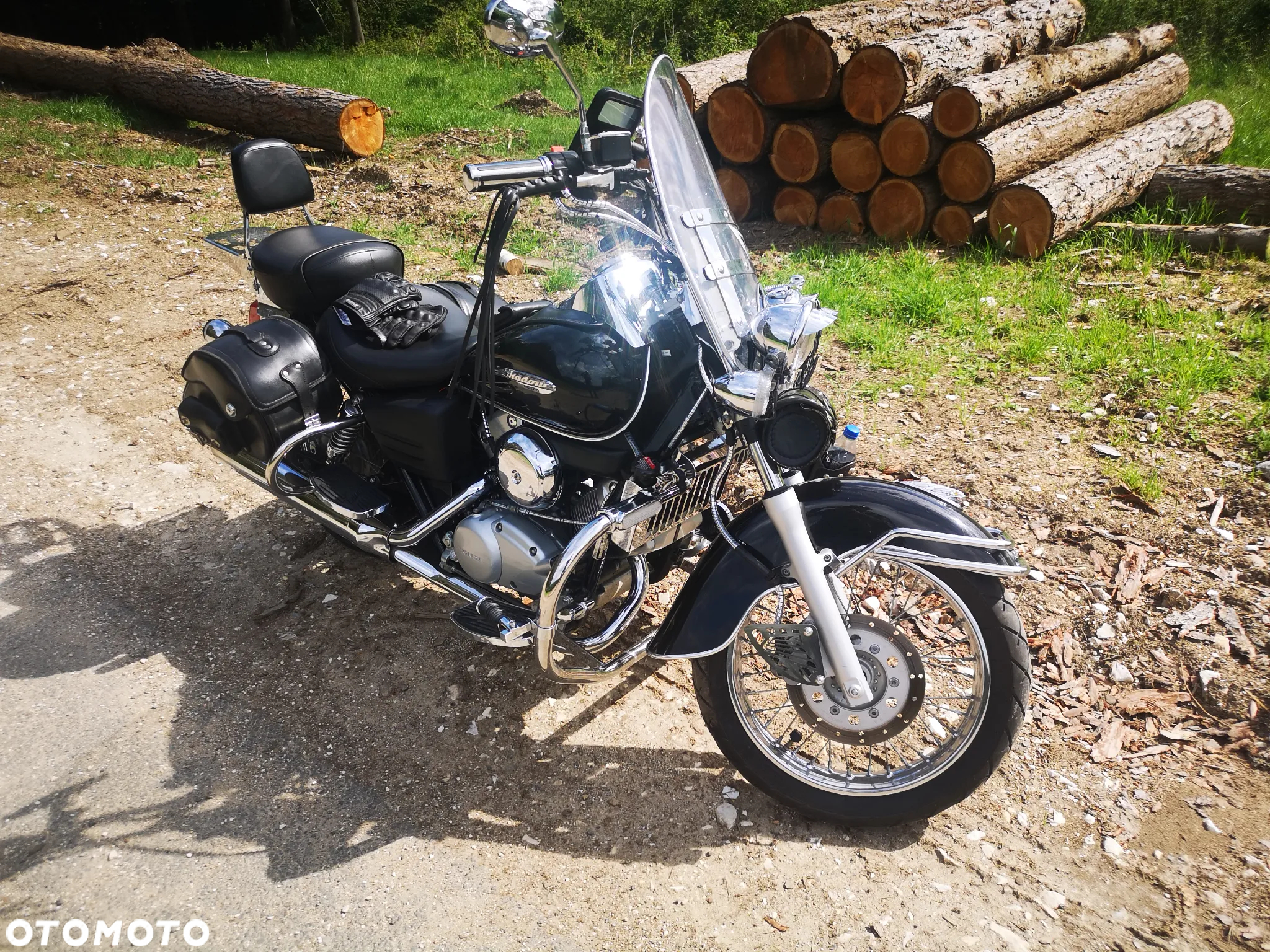 Honda Shadow - 6
