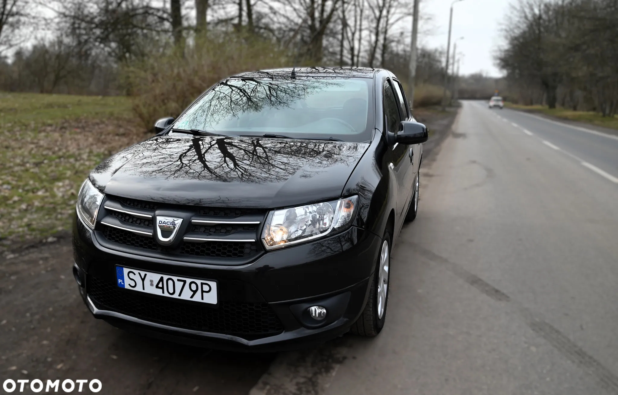 Dacia Sandero - 10